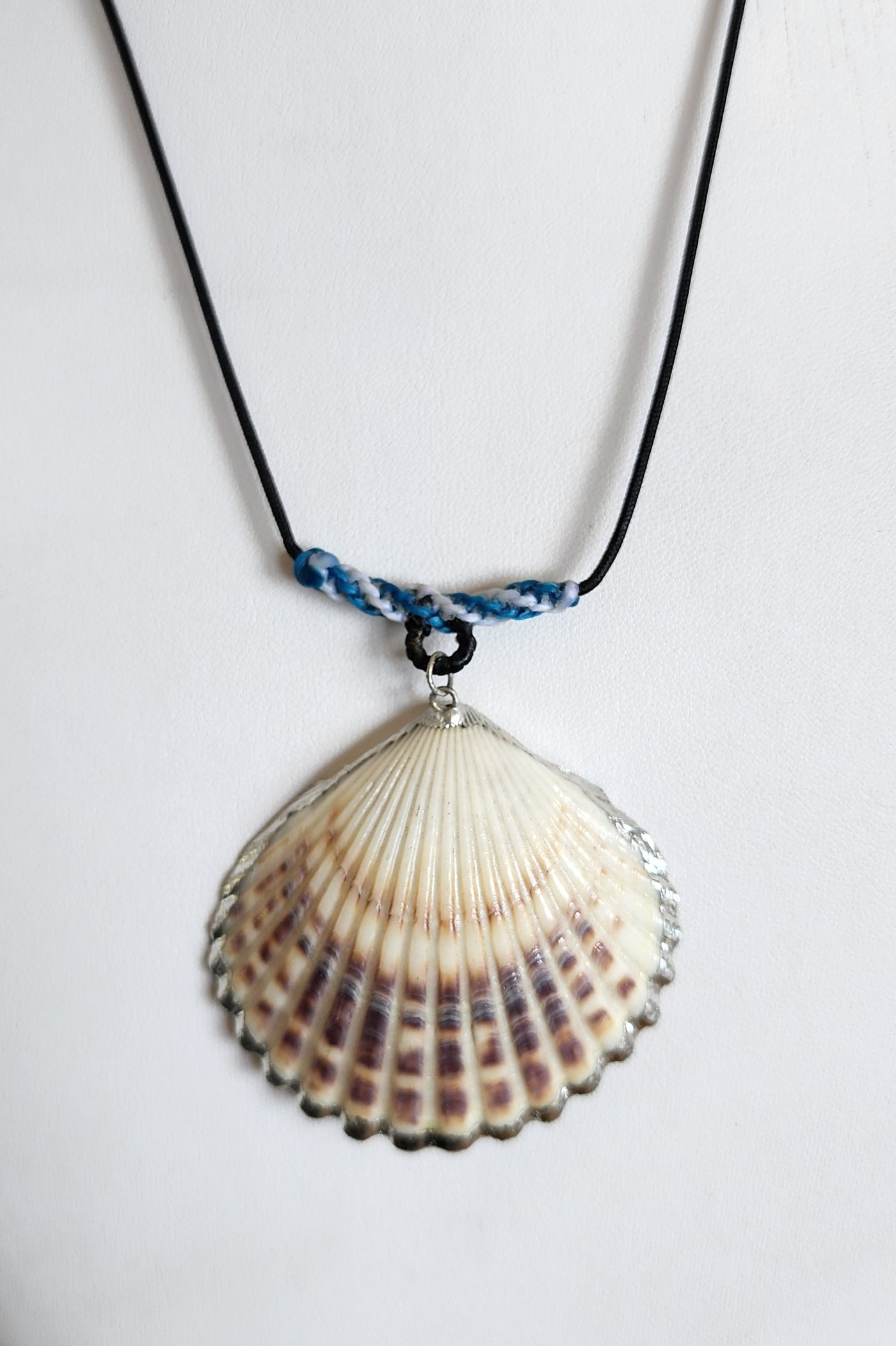 Clam Shell Necklace