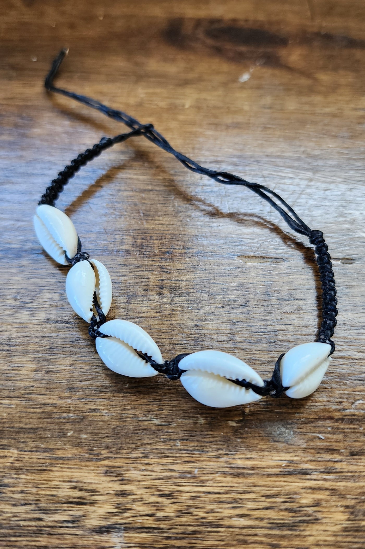 Shell Bracelet