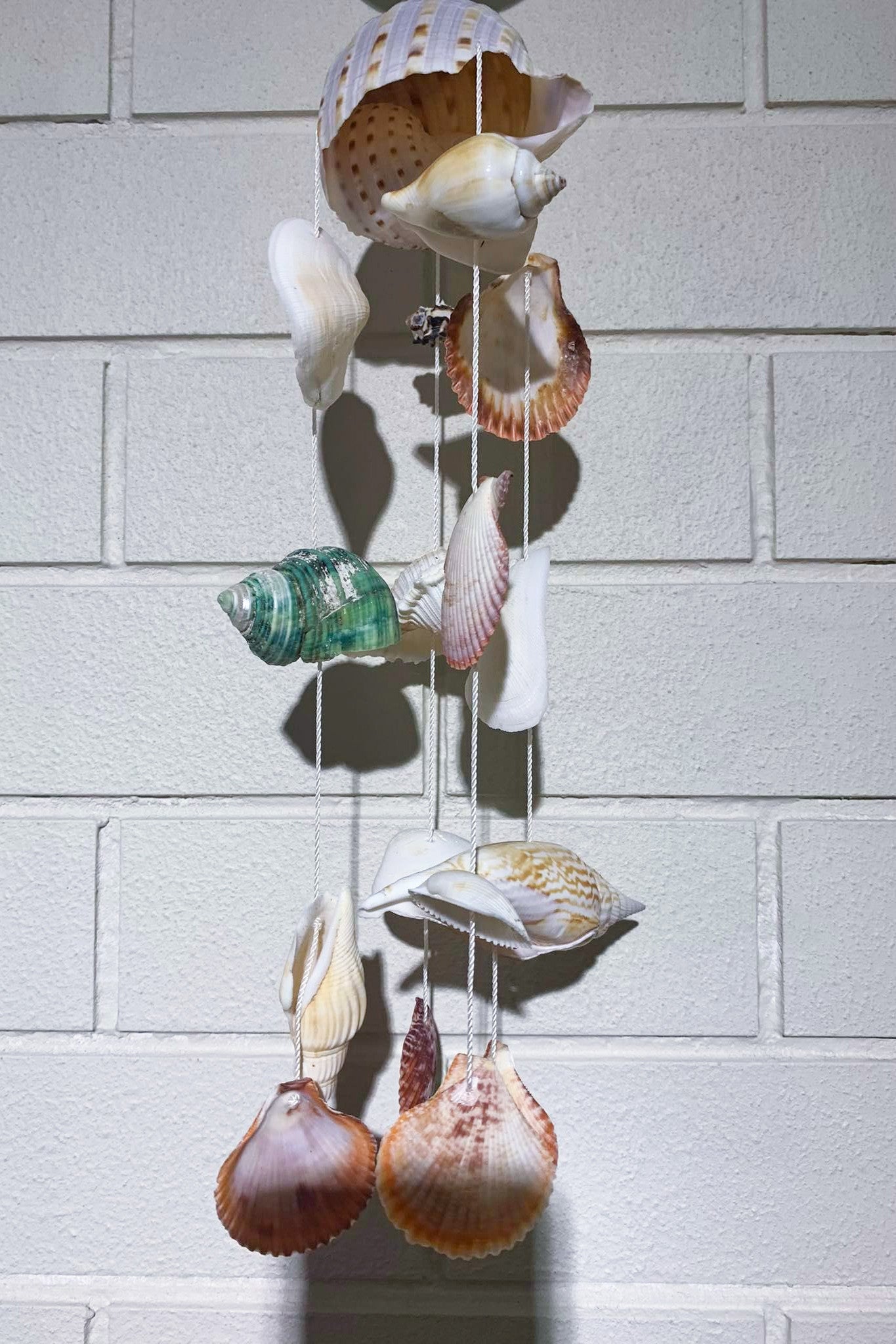 Shell Mobile – ENDLESS SUMMER NZ