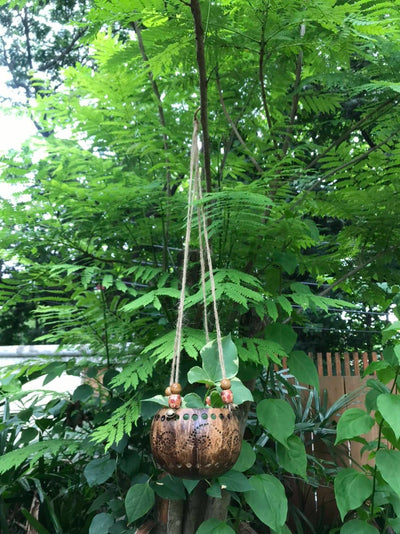 Coconut Shell Tea Light Lantern